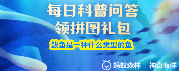 鲅鱼属于哪一类鱼