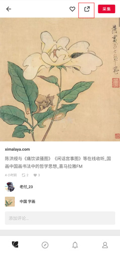 花瓣app图片下载步骤