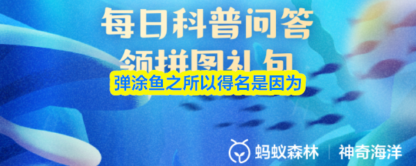 弹涂鱼名称的由来