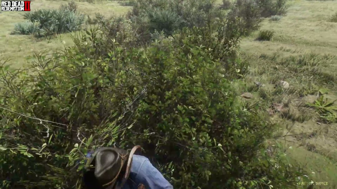 《荒野大镖客2》vs《对马岛之魂》神仙打架!谁才是开放世界之王?