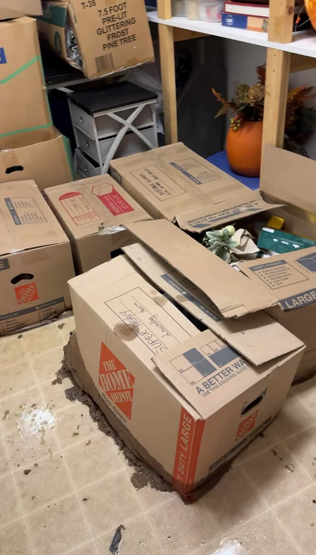 玩家万元宝可梦卡牌泡水报废 保险公司竟按废纸价赔偿