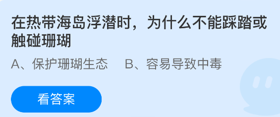 浮潜时为何要避免接触珊瑚礁? 浮潜时为何要避免接触珊瑚礁?