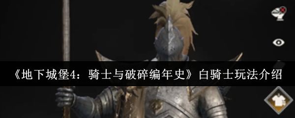《地下城堡4：骑士与破碎编年史》白骑士职业攻略解析