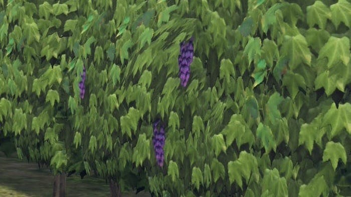 玩家的快乐源泉!《宝可梦传说Z-A》低模葡萄园神撞车《FF14》引热议