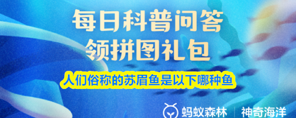 以下哪种鱼被人们俗称为苏眉鱼