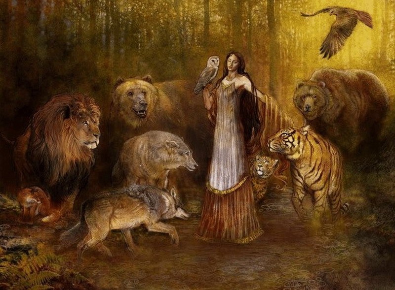 更吸睛的游戏玩家友好版:
《巫师》原著作者爆料:叶奈法原型竟是多位女神融合体!
(说明:1.保留核心信息不变 2."爆料""竟是"等用词增强戏剧性 3."融合体"比"来源"更具游戏术语特征 4.标题结构更符合游戏媒体常见的悬念式表达)