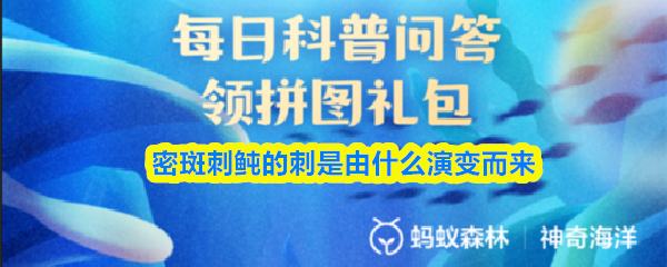 密斑刺鲀的刺是如何演化形成的