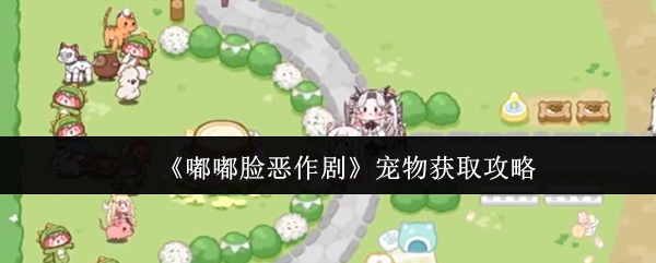 《嘟嘟脸恶作剧》宠物入手指南