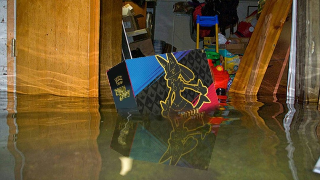 玩家万元宝可梦卡牌泡水报废 保险公司竟按废纸价赔偿 玩家万元宝可梦卡牌泡水报废 保险公司竟按废纸价赔偿