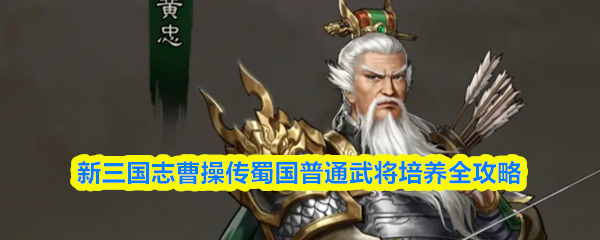 蜀国普通武将培养指南：新三国志曹操传全解析