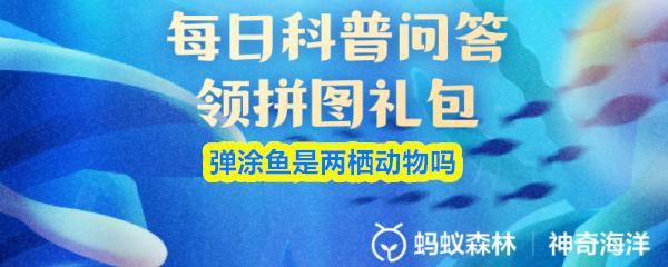 弹涂鱼属于两栖动物吗