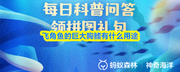 飞角鱼巨大胸鳍的功能是什么