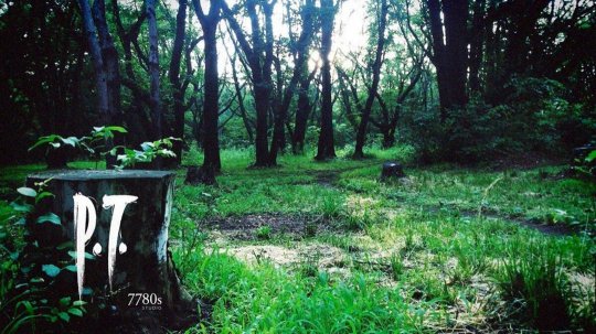 小岛秀夫《P.T.》式游戏神谷英树强烈期待，业界影响引热议