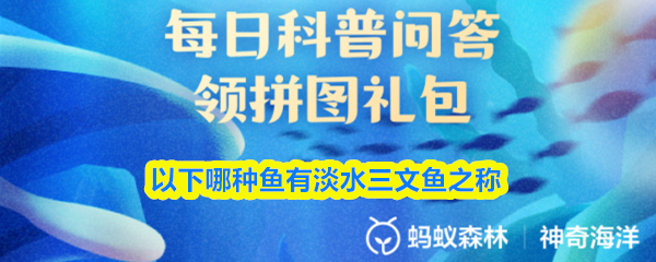 虹鳟鱼有淡水三文鱼之称