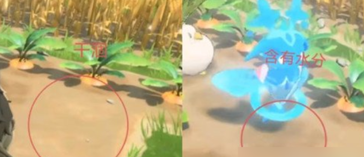 《蓝色星原:旅谣》田园耕种系统解析