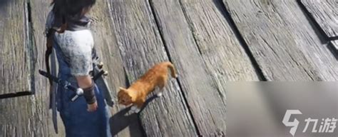  《燕云十六声》神仙渡猫咪分布指南
