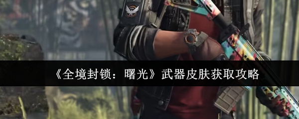 《全境封锁：曙光》武器皮肤收集指南